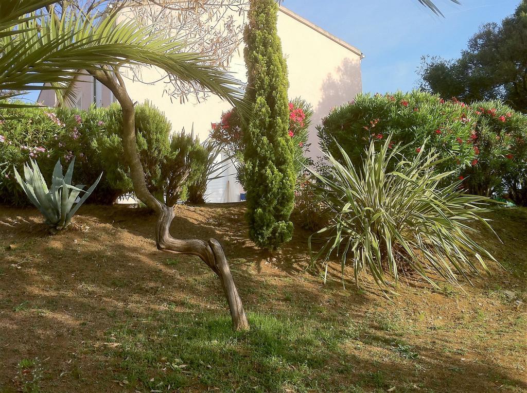 Villa Elofred Saint-Florent  Eksteriør billede
